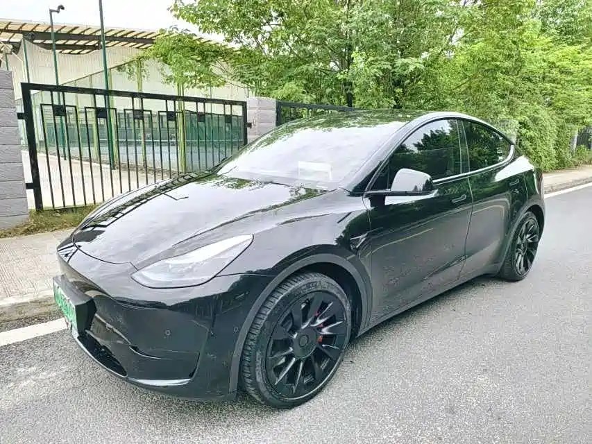 Tesla Model Y 2023 — фото 1 из 5