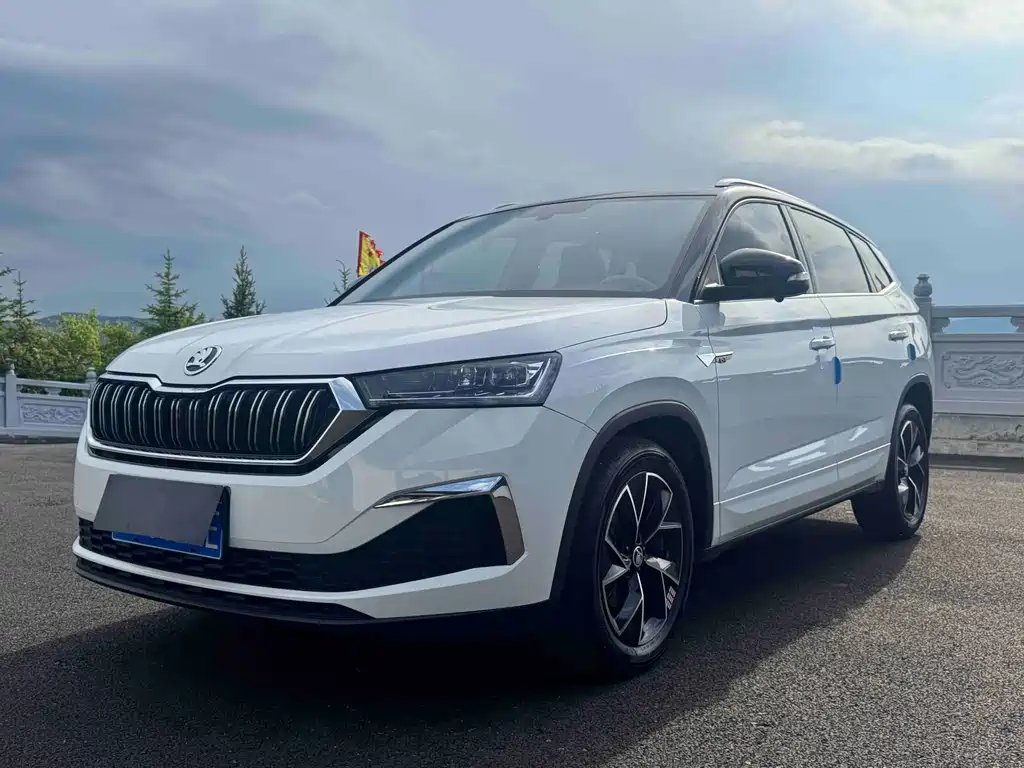 Skoda Kamiq 2023 — фото 1 из 5