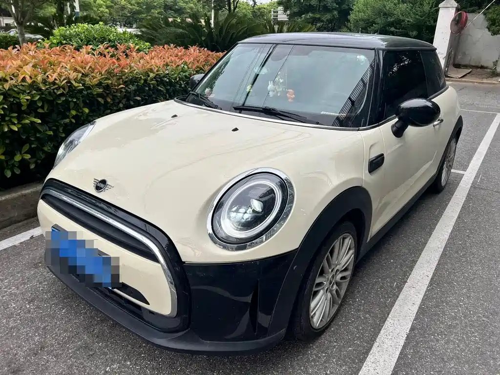 Mini Mini 2022 — фото 1 из 5