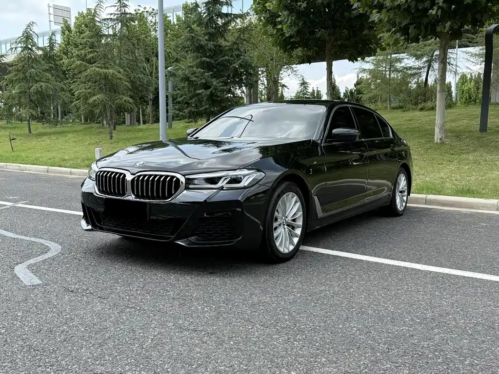 BMW 5 Series 2019 — фото 1 из 5