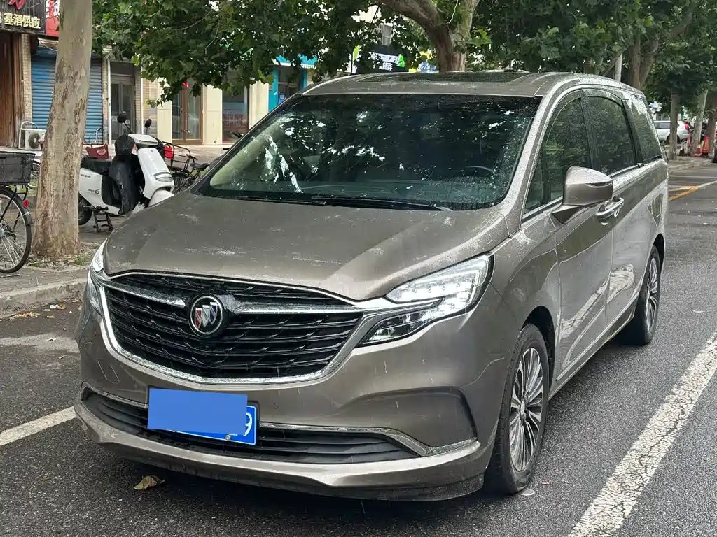 Buick GL8 2020 — фото 1 из 5