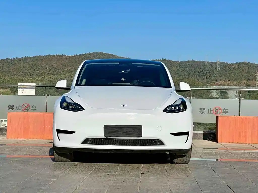 Tesla Model Y 2023 — фото 1 из 5