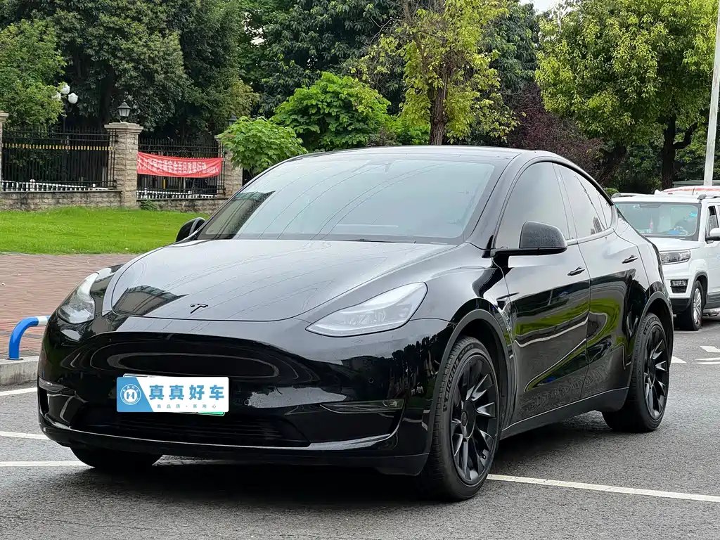 Tesla Model Y 2021 — фото 1 из 5