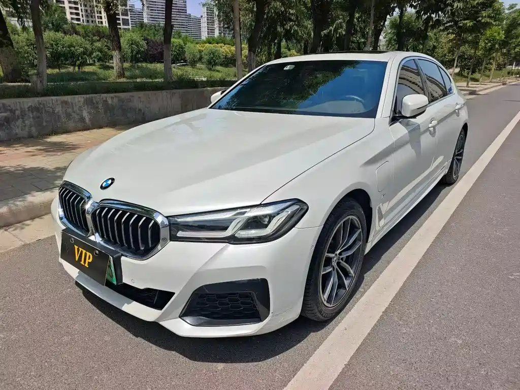 BMW 5 Series New Energy 2021 — фото 1 из 5
