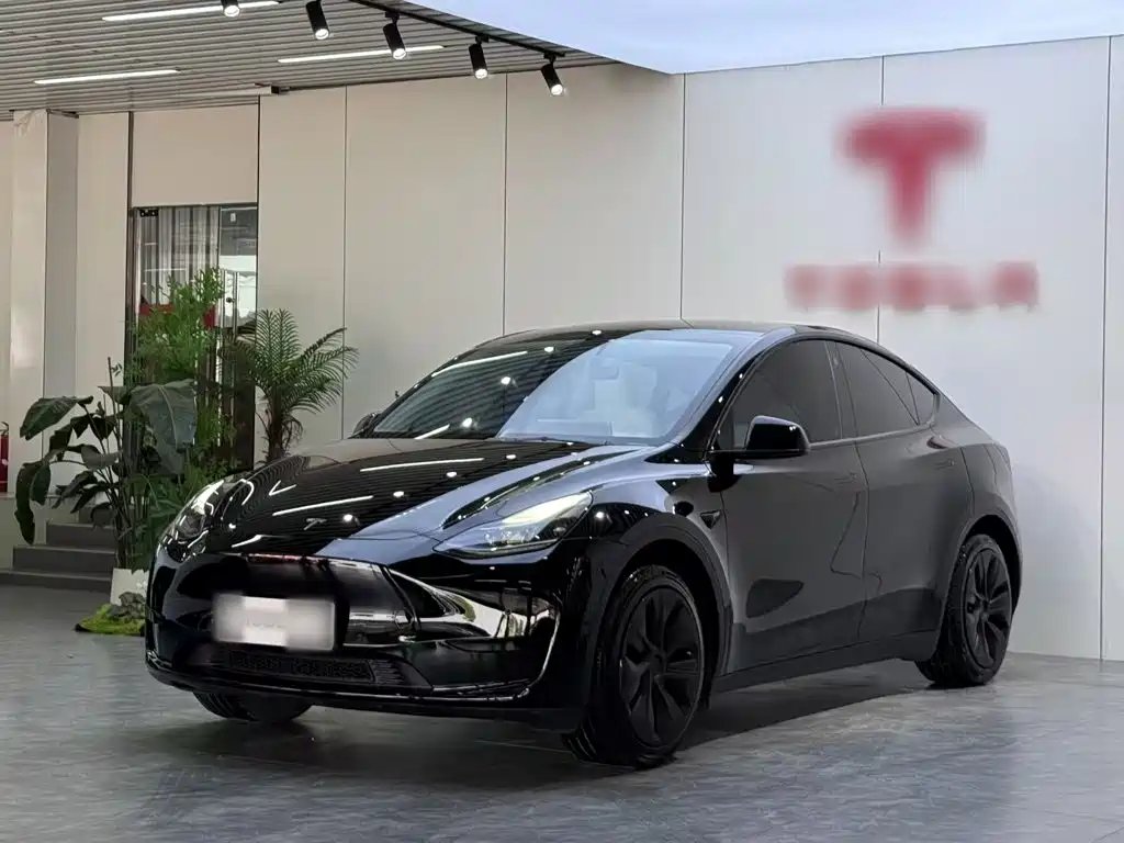 Tesla Model Y 2023 — фото 1 из 5