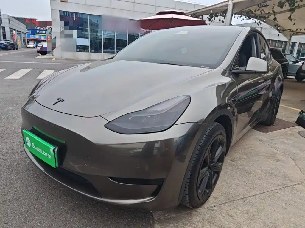 Tesla Model Y 2023 — фото 1 из 5