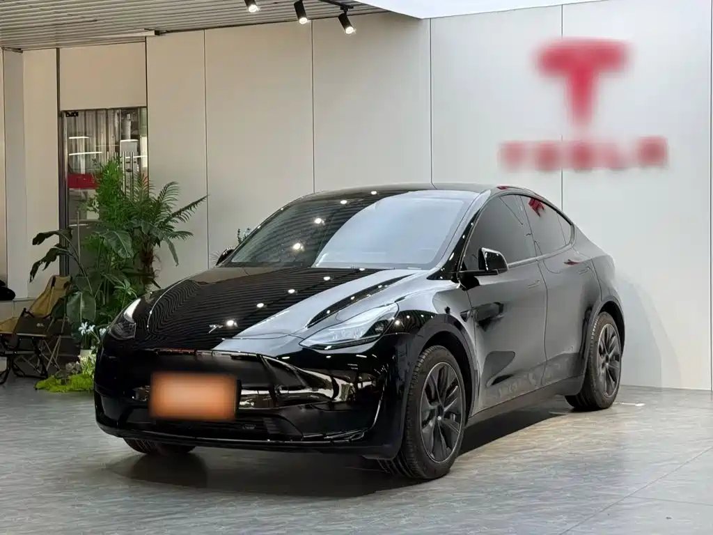 Tesla Model Y 2023 — фото 1 из 5