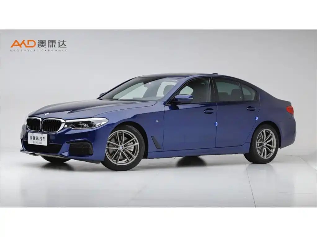 BMW 5 Series (Import) 2020 — фото 1 из 5