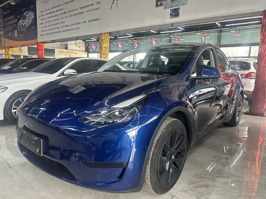 Tesla Model Y 2023 — фото 1 из 5