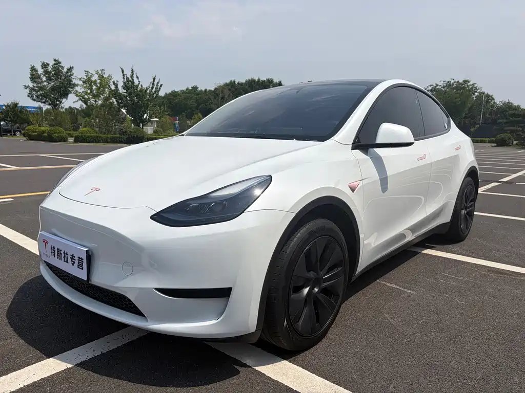 Tesla Model Y 2024 — фото 1 из 5