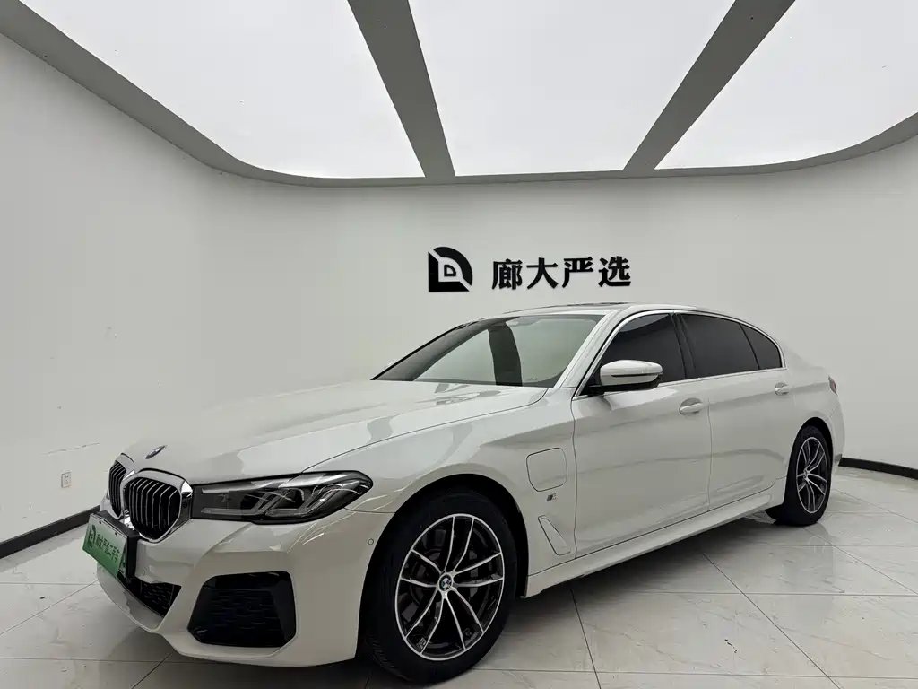 BMW 5 Series New Energy 2020 — фото 1 из 5
