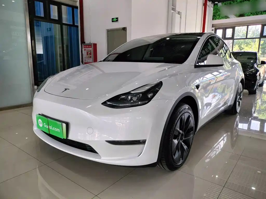 Tesla Model Y 2024 — фото 1 из 5