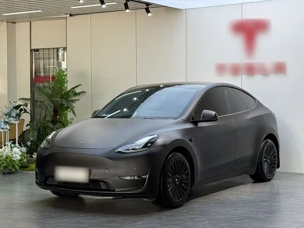 Tesla Model Y 2021 — фото 1 из 5