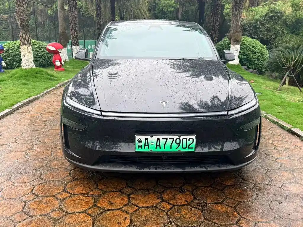 Tesla Model Y 2025 — фото 1 из 5