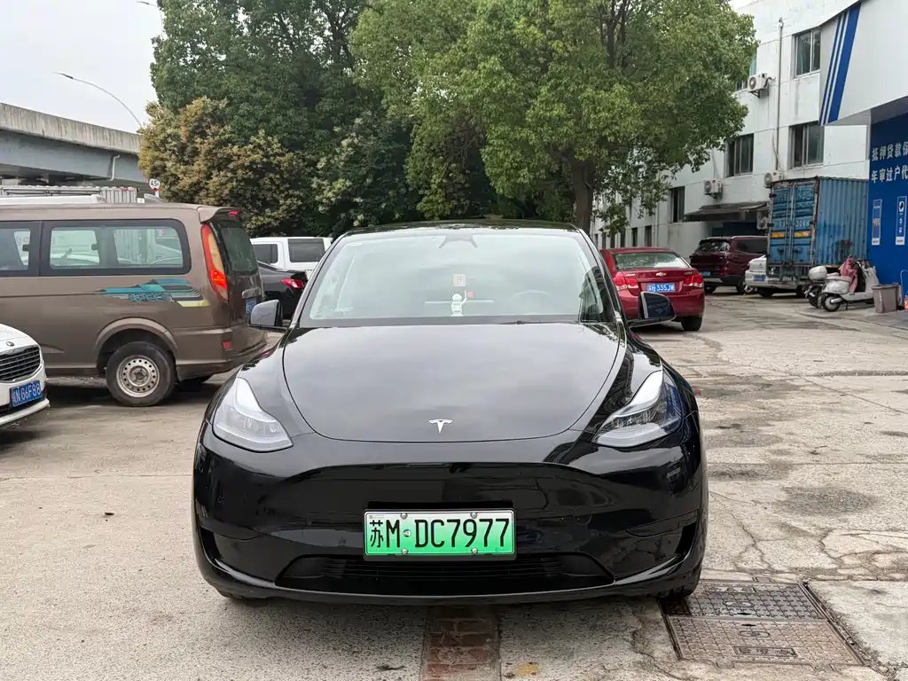 Tesla Model Y 2024 — фото 1 из 5