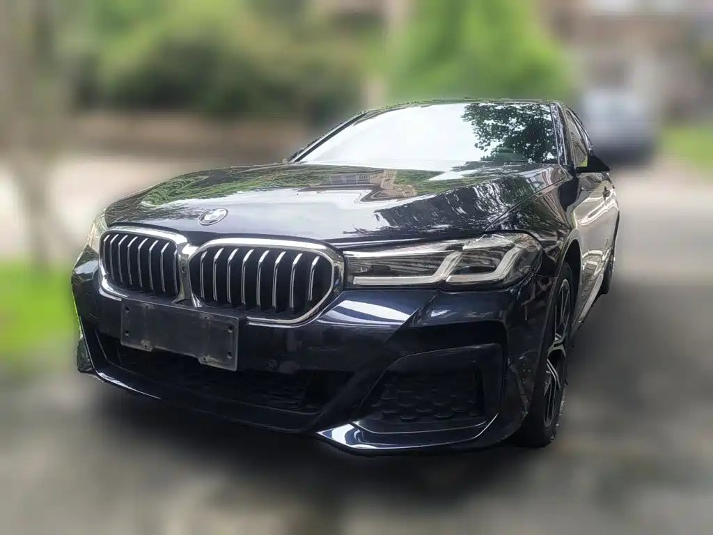 BMW 5 Series 2020 — фото 1 из 5