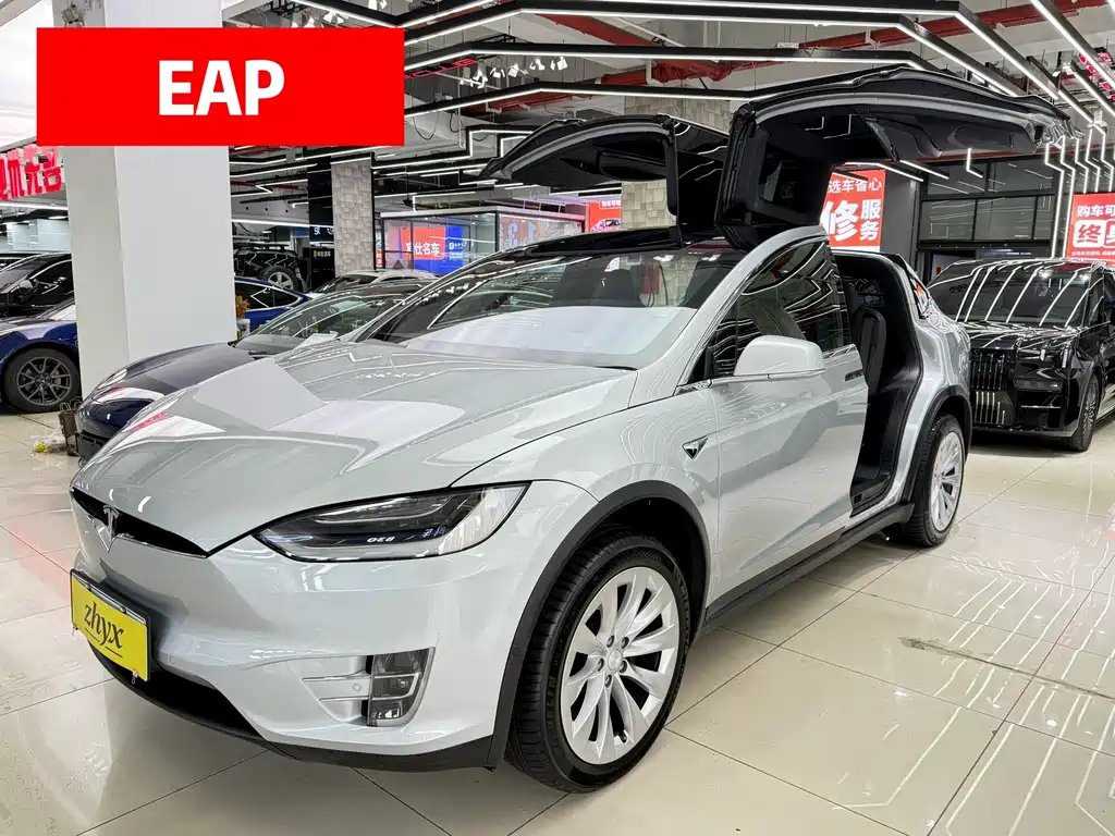 Tesla Model X 2019 — фото 1 из 5