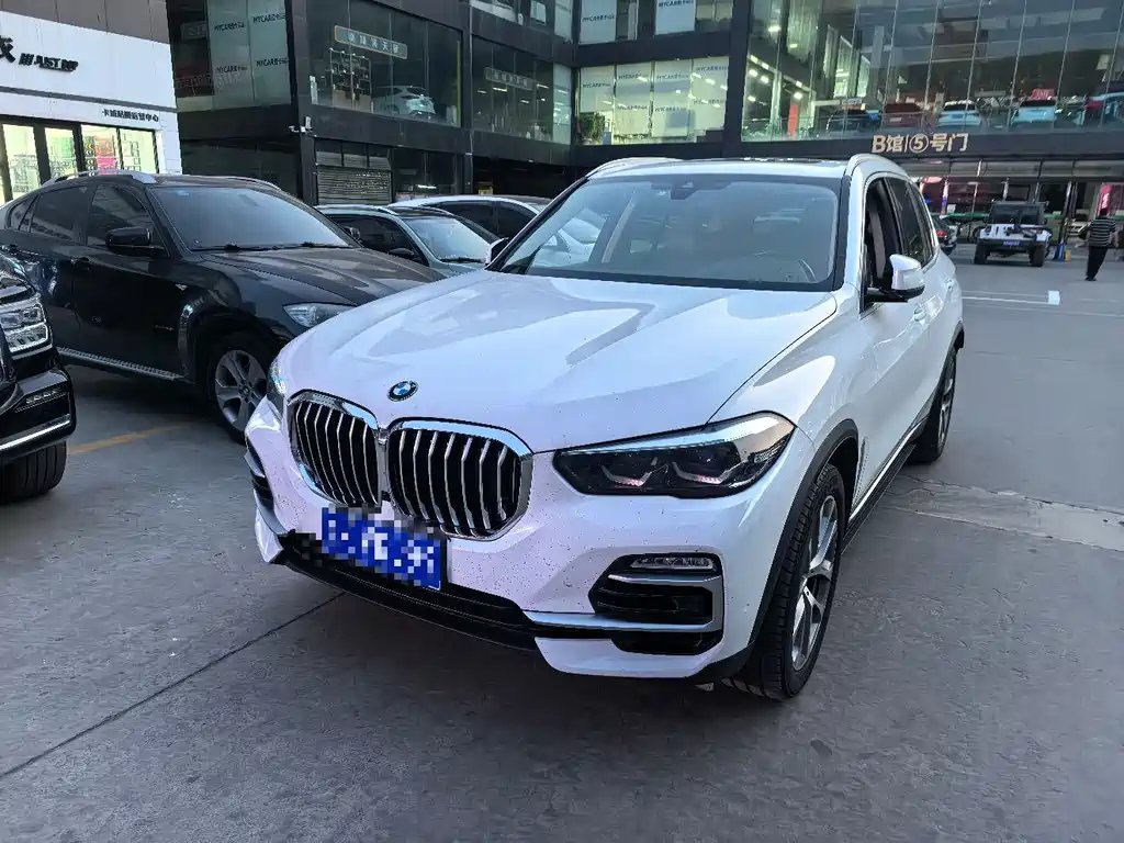 BMW X5 (Import) 2021 — фото 1 из 5