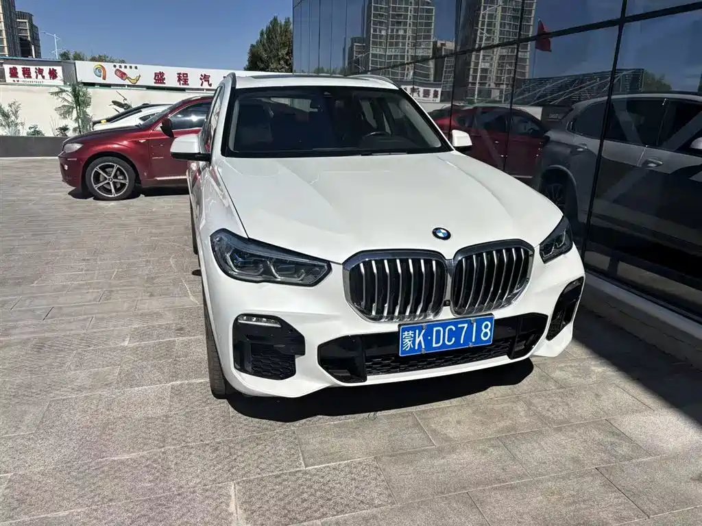 BMW X5 (Import) 2020 — фото 1 из 5