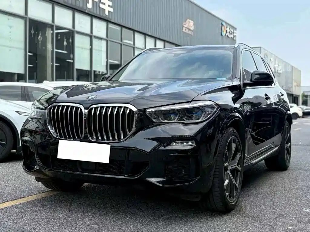 BMW X5 (Import) 2021 — фото 1 из 5