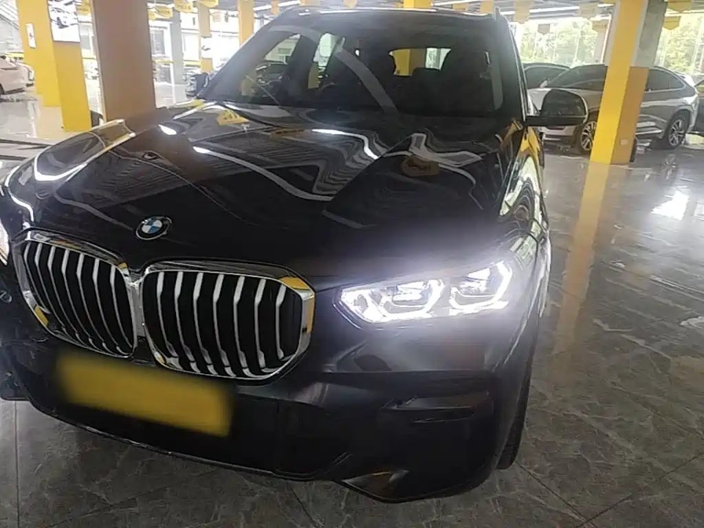 BMW X5 (Import) 2022 — фото 1 из 5