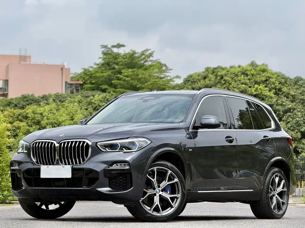 BMW X5 (Import) 2021 — фото 1 из 5