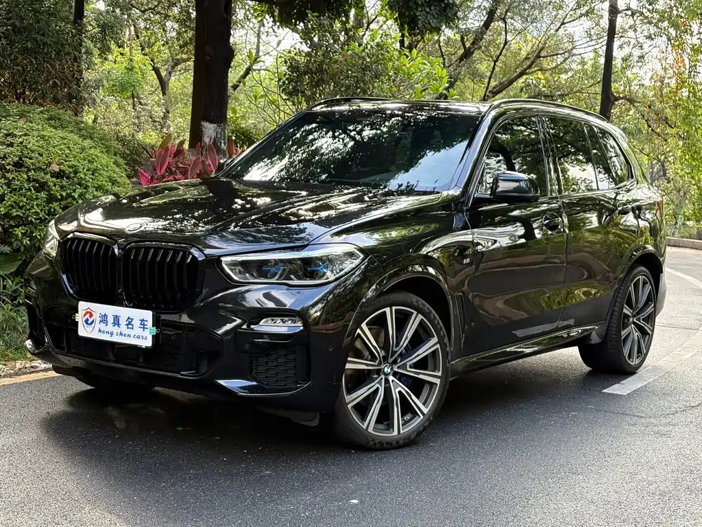 BMW X5 (Import) 2022 — фото 1 из 5