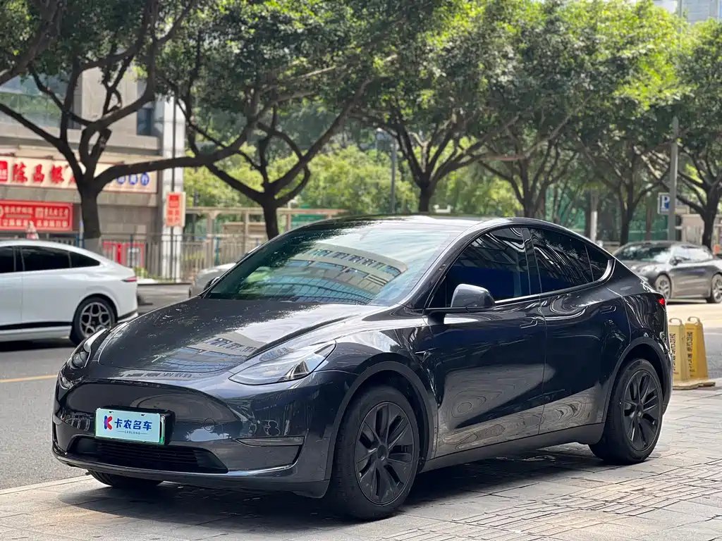 Tesla Model Y 2024 — фото 1 из 5