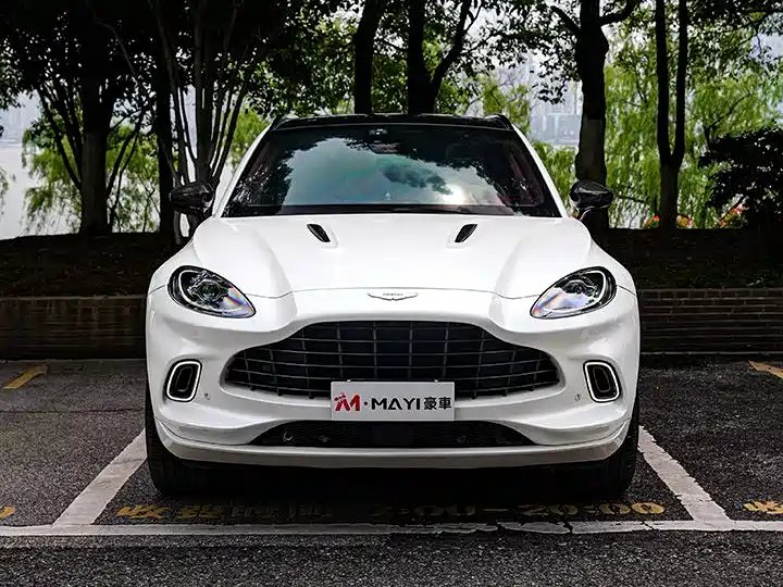 Aston Martin DBX 2020 — фото 1 из 5