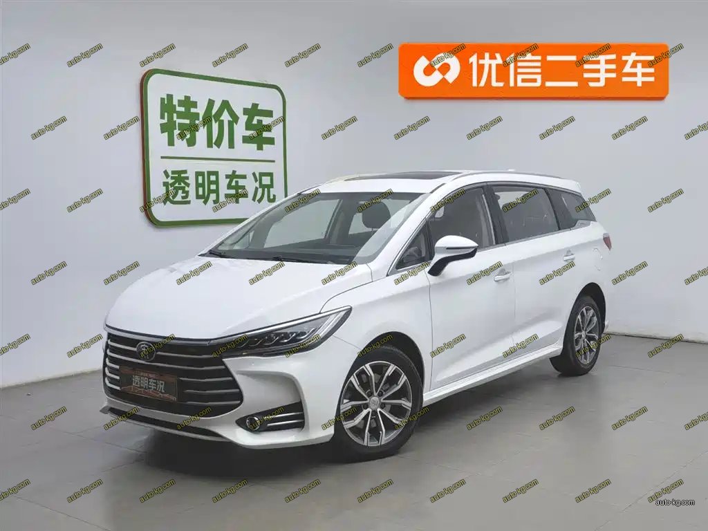 BYD MAX 2019
