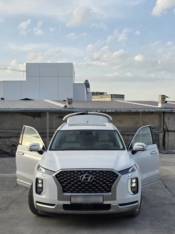 Hyundai Palisade I 2021 — фото 1 из 5