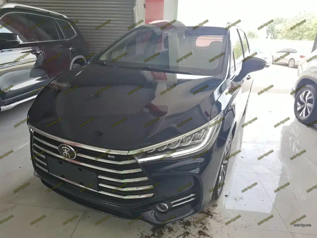BYD MAX 2020