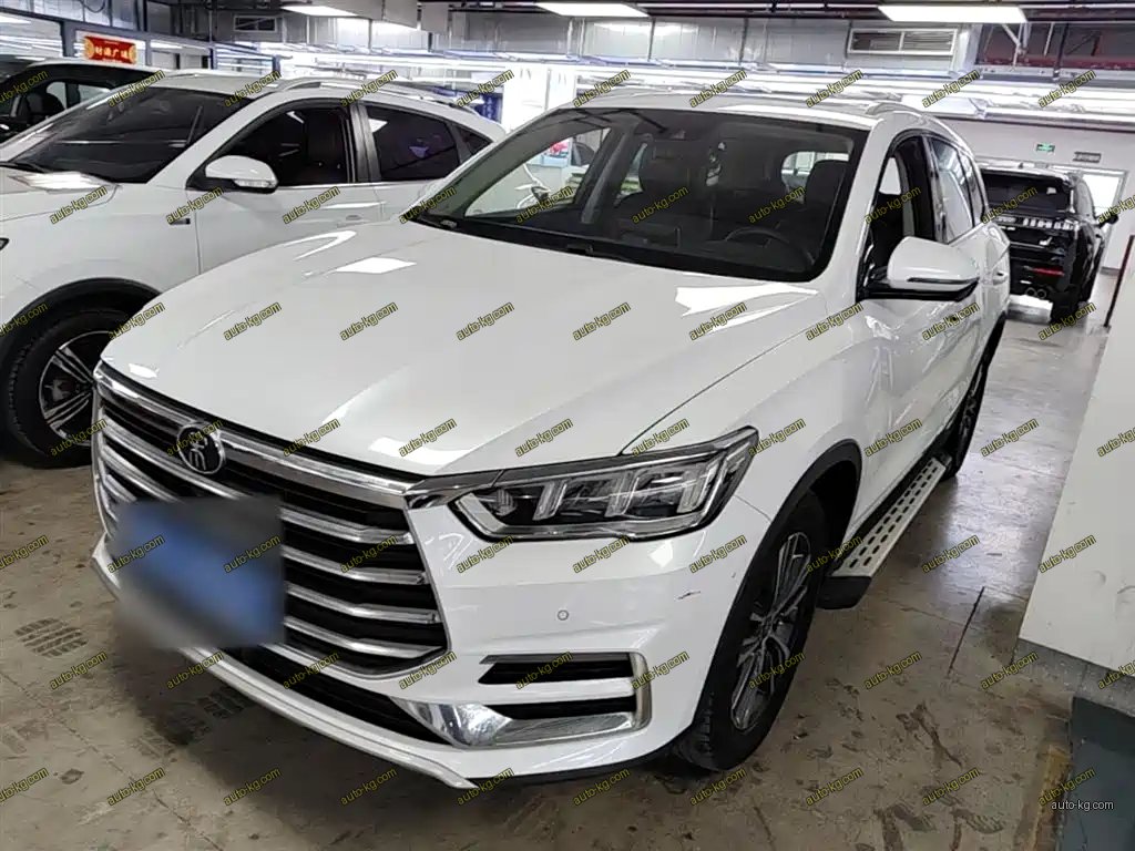 BYD Pro 2020