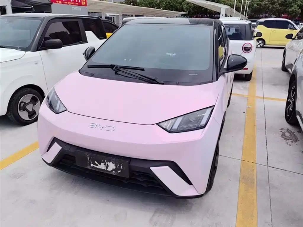 BYD Seagull 2024