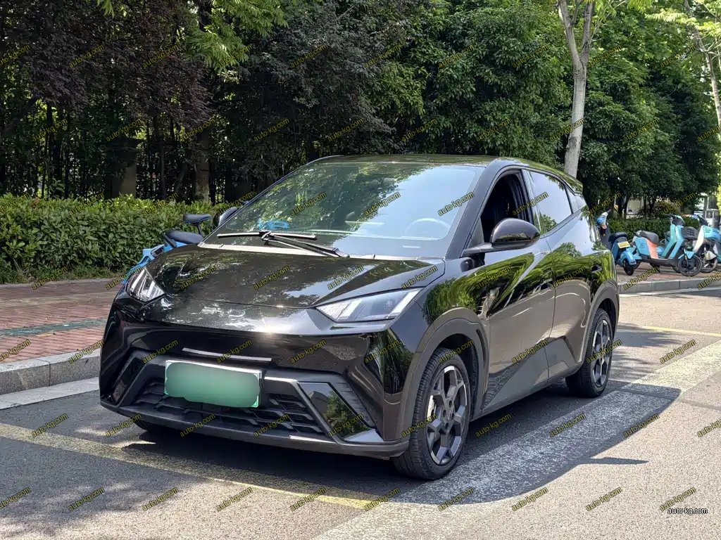 BYD Seagull 2024