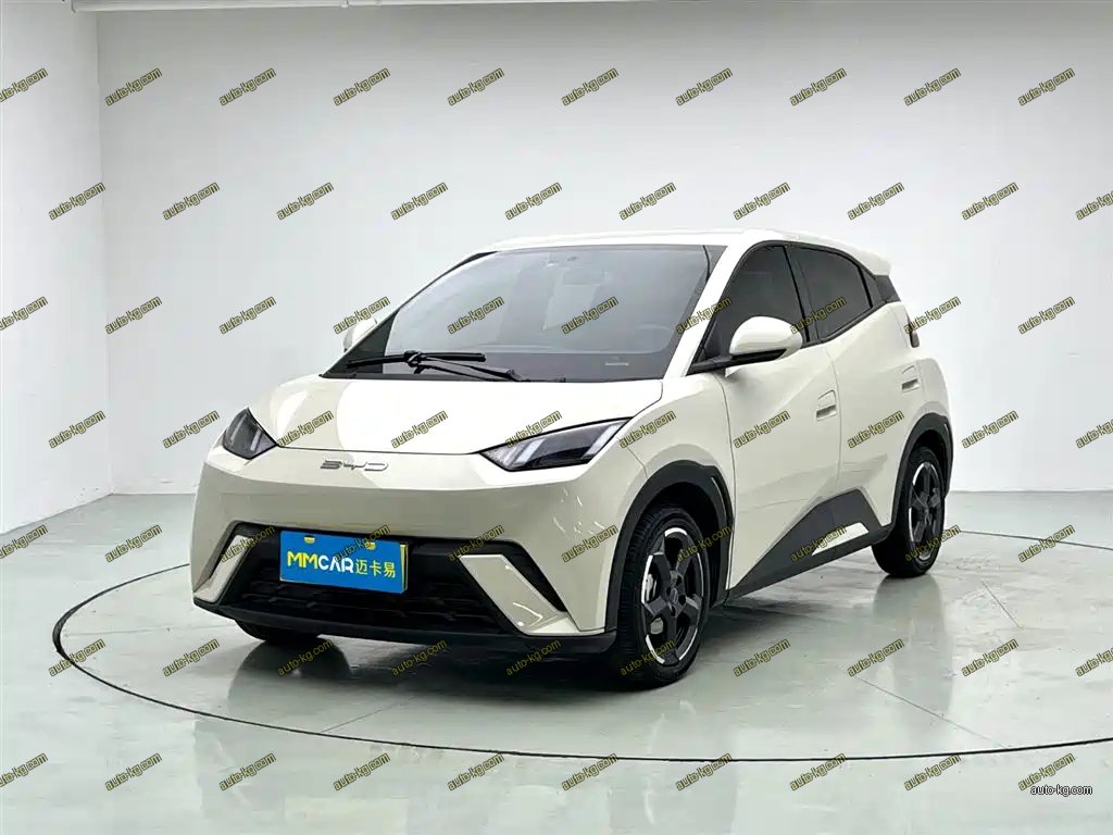 BYD Seagull 2024