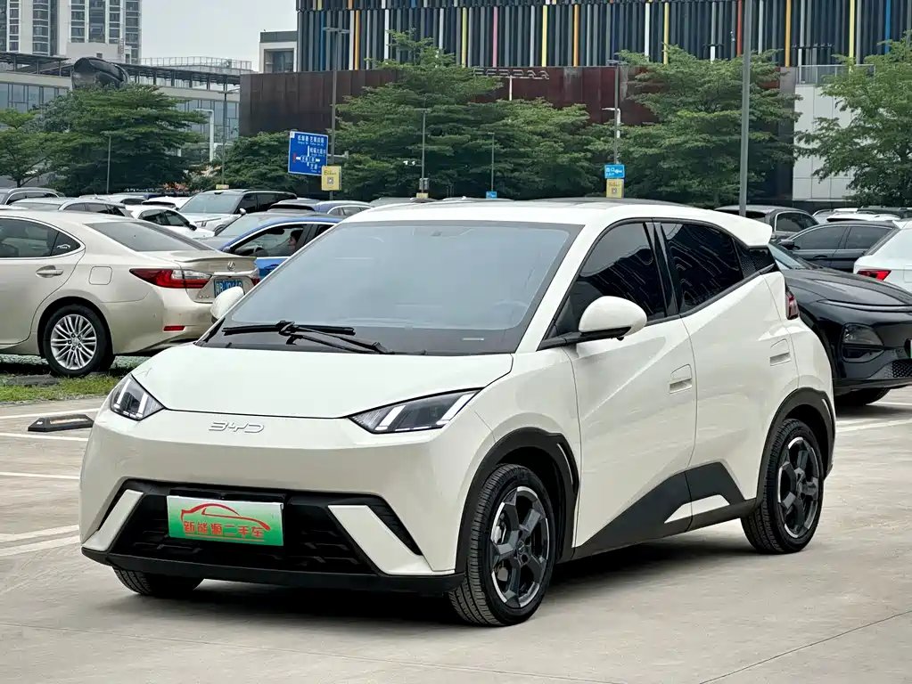 BYD Seagull 2024