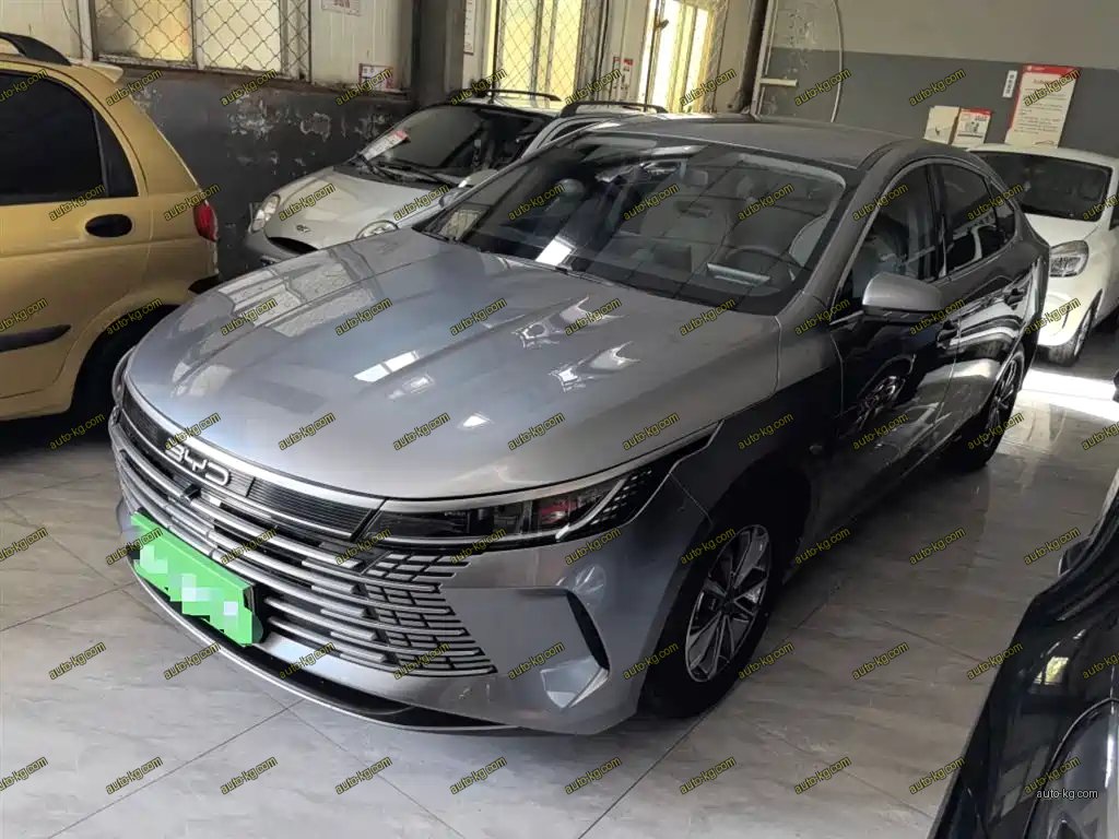 BYD Destroyer 05 2024