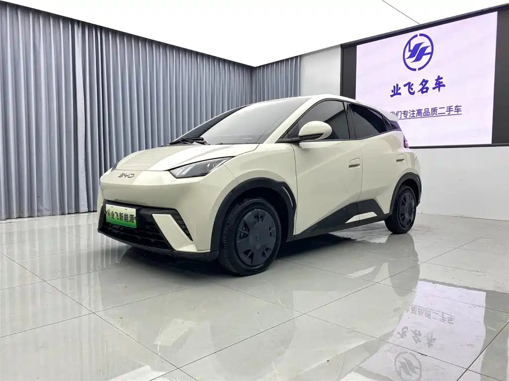 BYD Seagull 2025
