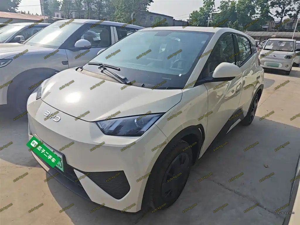 BYD Seagull 2026