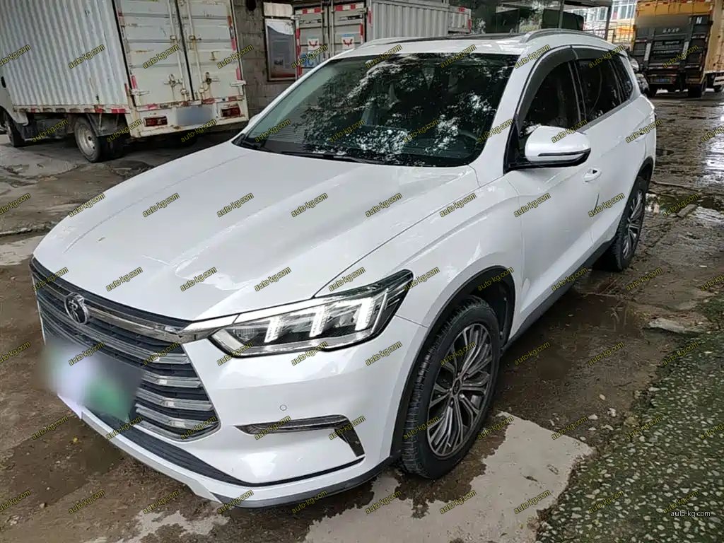 BYD Pro New Energy 2020