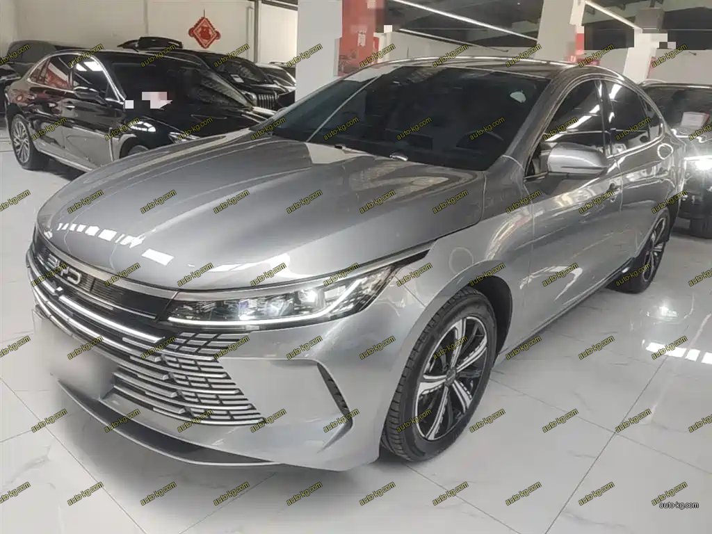 BYD Destroyer 05 2024