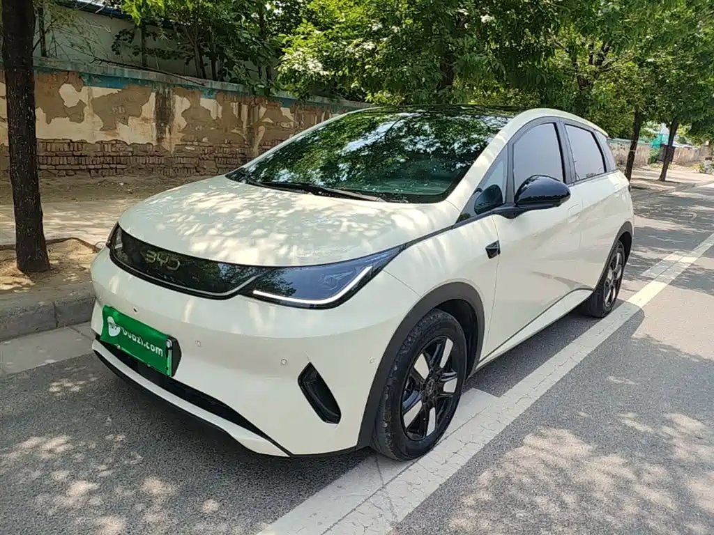BYD Dolphin 2025