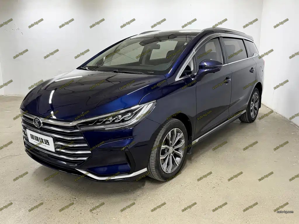 BYD MAX 2022