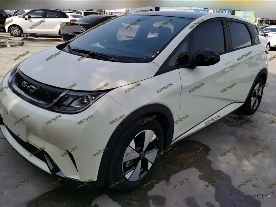 BYD Dolphin 2023