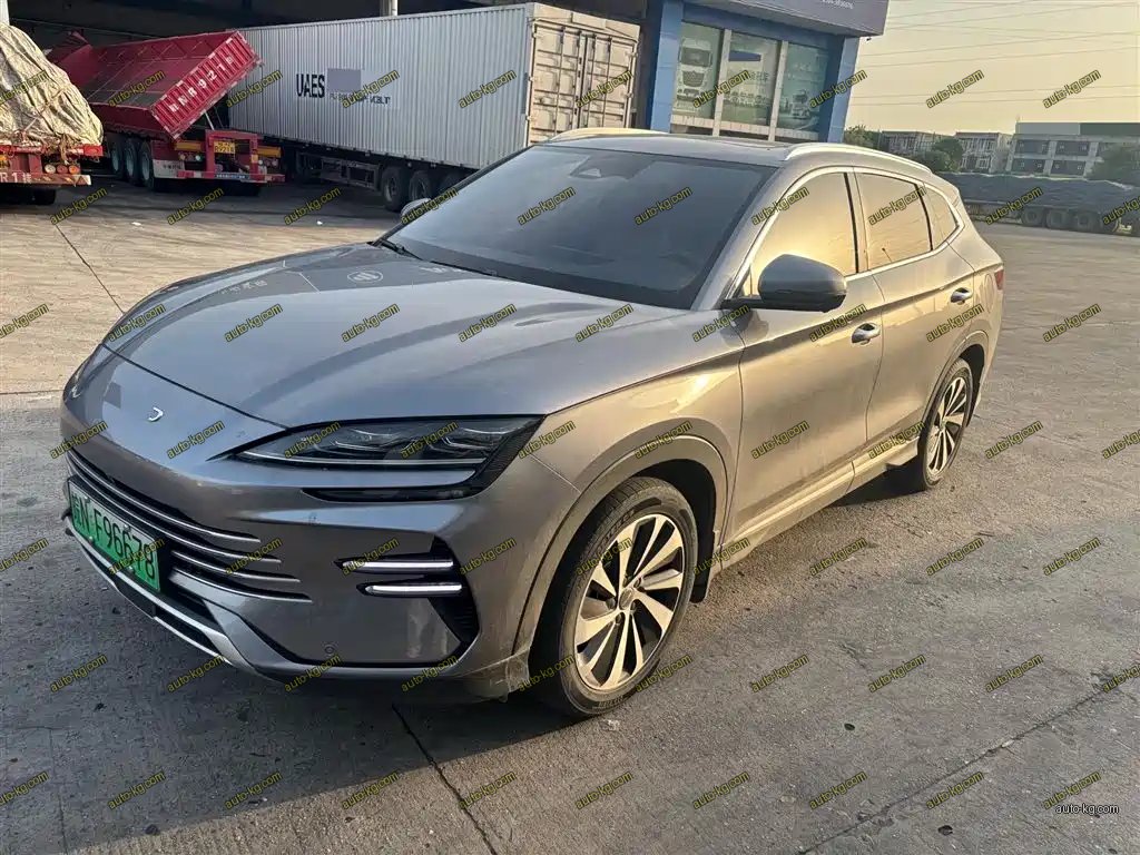 BYD PLUS New Energy 2023