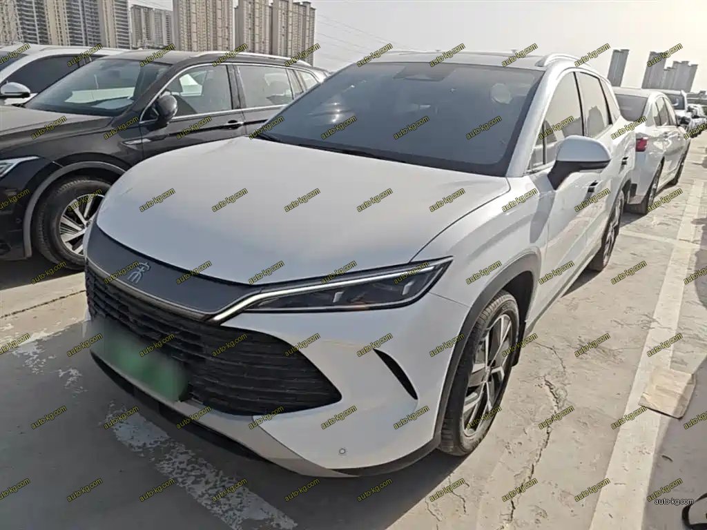 BYD L DM-i 2025