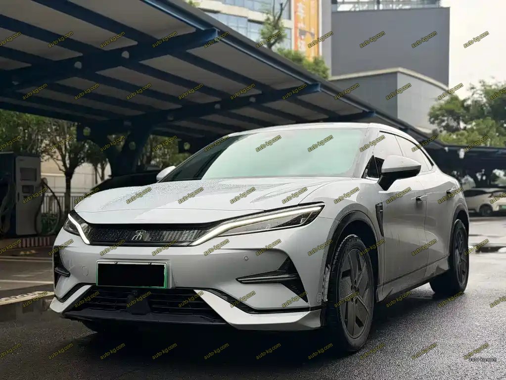 BYD L EV 2025