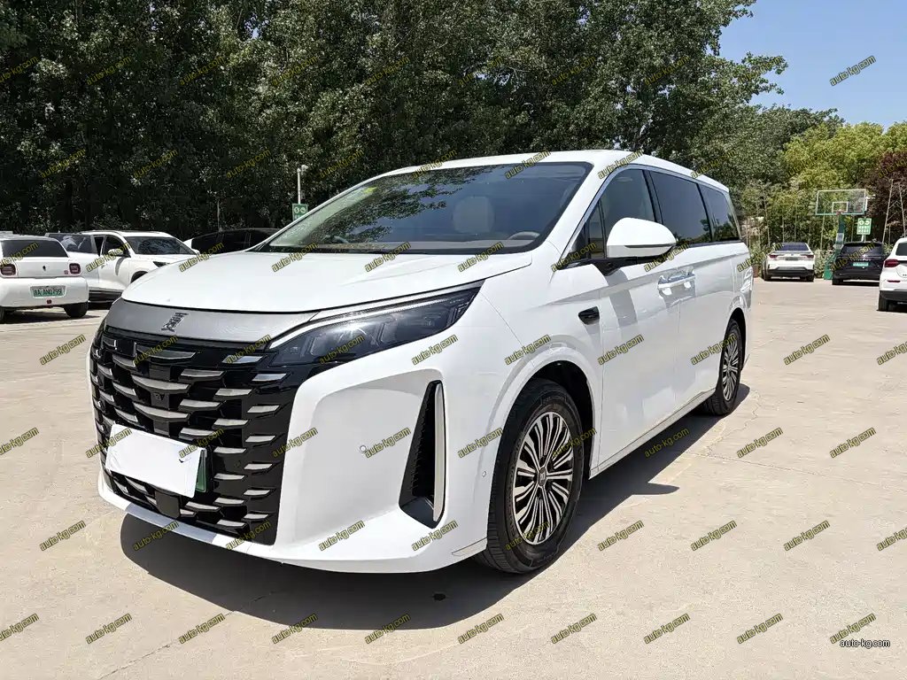 BYD Xia 2025