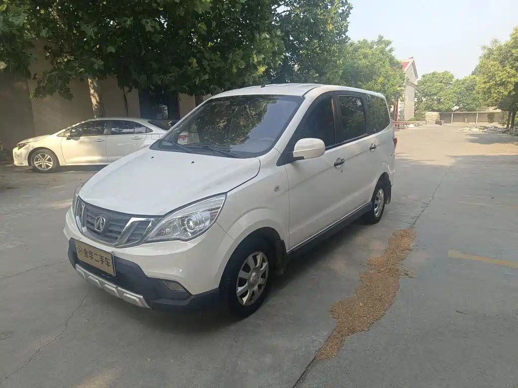 BAW Weiwang M20 2018